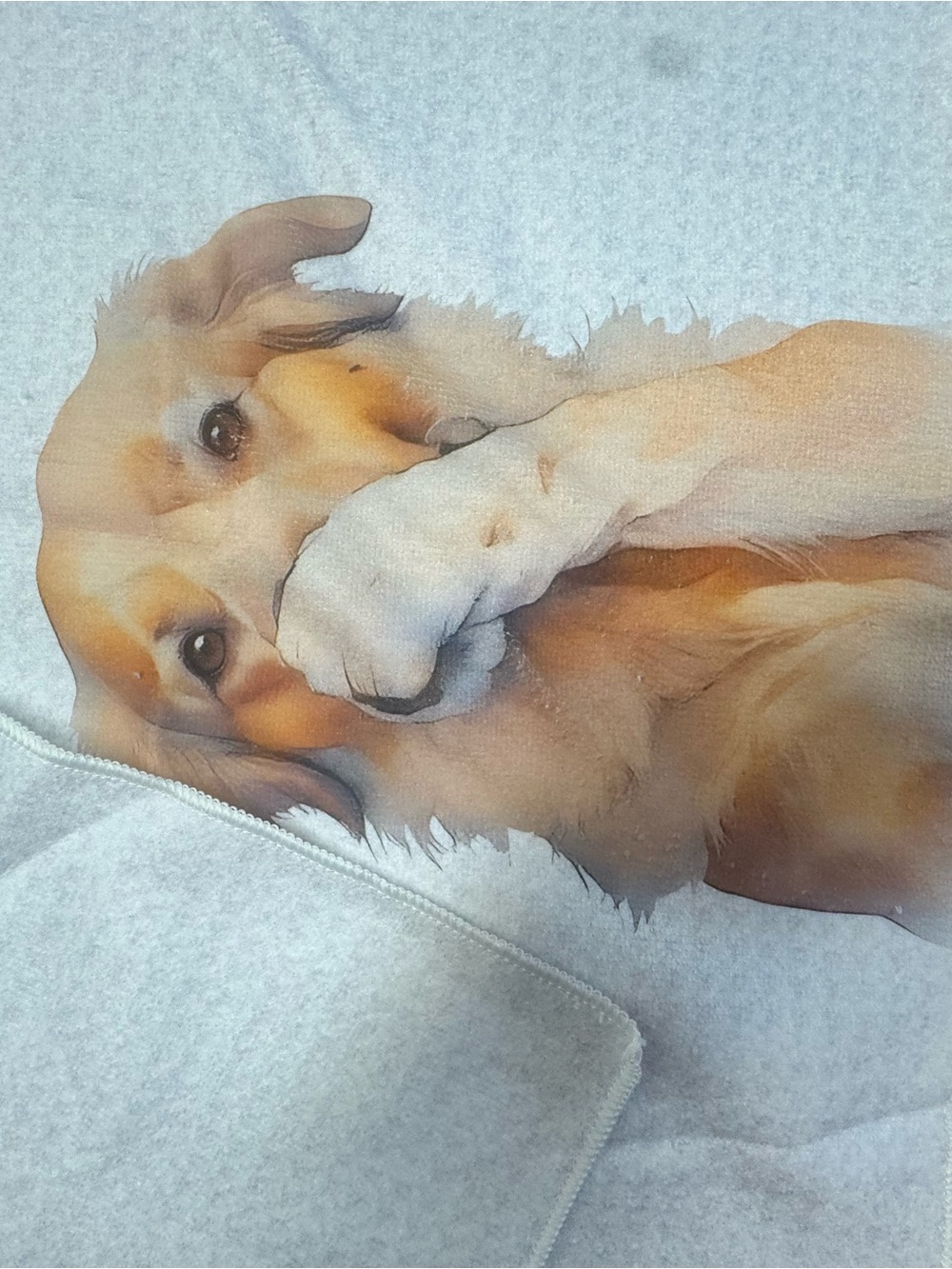 Blank Brand Golden Dog Print Pet Blanket - Cream